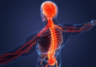 new york spinal cord injury lawyer